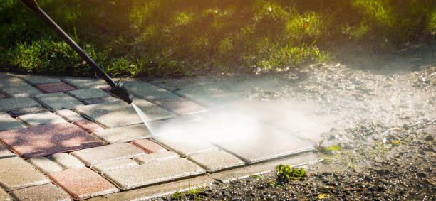 Solar Panel Cleaning in Duson, LA